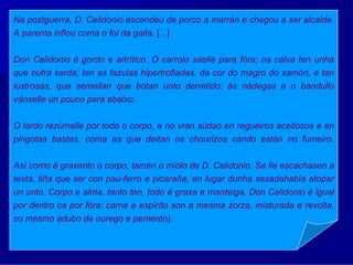 Na postguerra, D. Celidonio ascendeu de porco a marrán e chegou a ser alcalde.
A parenta inflou coma o fol da gaita. [...]


Don Celidonio é gordo e artrítico. O carrolo sáelle para fóra; na calva ten unha
que outra serda; ten as fazulas hipertrofiadas, da cor do magro do xamón, e tan
lustrosas, que semellan que botan unto derretido; ás nádegas e o bandullo
vánselle un pouco para abaixo.


O lardo rezúmalle por todo o corpo, e no vran súdao en regueiros aceitosos e en
pingotas bastas, coma as que deitan os chourizos cando están no fumeiro.


Así como é graxento o corpo, tamén o miolo de D. Celidonio. Se lle escachasen a
testa, tiña que ser con pau-ferro e picaraña, en lugar dunha sesadahabía atopar
un unto. Corpo e alma, tanto ten, todo é graxa e manteiga. Don Celidonio é igual
por dentro ca por fóra: carne e espírito son a mesma zorza, misturada e revolta,
co mesmo adubo de ourego e pemento).
 