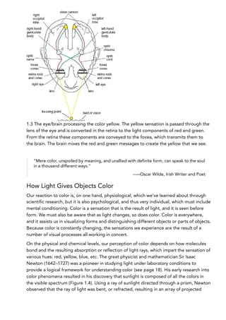 1.3 The eye/brain processing the color yellow. The yellow sensation is passed through the
lens of the eye and is converted in the retina to the light components of red and green.
From the retina these components are conveyed to the fovea, which transmits them to
the brain. The brain mixes the red and green messages to create the yellow that we see.
“Mere color, unspoiled by meaning, and unallied with definite form, can speak to the soul
in a thousand different ways.”
--—Oscar Wilde, Irish Writer and Poet
How Light Gives Objects Color
Our reaction to color is, on one hand, physiological, which we’ve learned about through
scientific research, but it is also psychological, and thus very individual, which must include
mental conditioning. Color is a sensation that is the result of light, and it is seen before
form. We must also be aware that as light changes, so does color. Color is everywhere,
and it assists us in visualizing forms and distinguishing different objects or parts of objects.
Because color is constantly changing, the sensations we experience are the result of a
number of visual processes all working in concert.
On the physical and chemical levels, our perception of color depends on how molecules
bond and the resulting absorption or reflection of light rays, which impart the sensation of
various hues: red, yellow, blue, etc. The great physicist and mathematician Sir Isaac
Newton (1642–1727) was a pioneer in studying light under laboratory conditions to
provide a logical framework for understanding color (see page 18). His early research into
color phenomena resulted in his discovery that sunlight is composed of all the colors in
the visible spectrum (Figure 1.4). Using a ray of sunlight directed through a prism, Newton
observed that the ray of light was bent, or refracted, resulting in an array of projected
 
