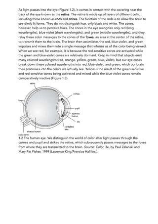 As light passes into the eye (Figure 1.2), it comes in contact with the covering near the
back of the eye known as the retina. The retina is made up of layers of different cells,
including those known as rods and cones. The function of the rods is to allow the brain to
see dimly lit forms. They do not distinguish hue, only black and white. The cones,
however, help us to perceive hues. The cones in the eye recognize only red (long
wavelengths), blue-violet (short wavelengths), and green (middle wavelengths), and they
relay these color messages to the cones of the fovea, an area at the center of the retina,
to transmit them to the brain. The brain then assimilates the red, blue-violet, and green
impulses and mixes them into a single message that informs us of the color being viewed.
When we see red, for example, it is because the red-sensitive cones are activated while
the green and blue-violet cones are relatively dormant. Keep in mind that objects emit
many colored wavelengths (red, orange, yellow, green, blue, violet), but our eye cones
break down these colored wavelengths into red, blue-violet, and green, which our brain
then processes into the colors we actually see. Yellow is the result of the green-sensitive
and red-sensitive cones being activated and mixed while the blue-violet cones remain
comparatively inactive (Figure 1.3).
1.2 The human eye. We distinguish the world of color after light passes through the
cornea and pupil and strikes the retina, which subsequently passes messages to the fovea
from where they are transmitted to the brain. Source: Color, 3e, by Paul Zelanski and
Mary Pat Fisher, 1999 (Laurence King/Prentice Hall Inc.).
 