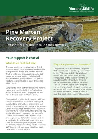 Pine Marten
Recovery Project
Restoring the pine marten to England and Wales
What do we need and why?
The pine marten, a cat-sized native British
mammal, needs help to prevent its extinction
in England and Wales. The Vincent Wildlife
Trust is embarking on an exciting and widely
supported six-year project to bring back
pine martens to our woodlands. The project
needs to raise £800,000 to cover the period
2015 - 2020.
Our priority aim is to translocate pine martens
to the best possible habitat in England and
Wales, in order to boost the population and
help it to recover in southern Britain.
Our approach is scientifically robust, with the
support of numerous authorities and expert
stakeholders, and we have the welfare and
health of the martens very firmly in our sights.
Others may attempt translocations, but whilst
they may have worthy aims, their projects may
not be adequately resourced. For successful
translocations we will need authorisation,
proper planning, stakeholder support and the
attention to detail that will ensure the best
chances of delivering viable populations of
martens in places where they will be welcomed.
VWT is very well-positioned to deliver on all
these aspects of the project.
Why is the pine marten important?
The pine marten is a native British species
that was reduced to perilously low numbers
by the 1920s, due initially to woodland
habitat loss over many centuries and
compounded by the extensive control of
predators in the 19th
century. The pine
marten has been protected by law since
1988. In the NERC Act of 2006, the pine
marten is a species of principal importance,
recovering in Scotland but near to extinction
in England and Wales. The race is on to
save this species in its former strongholds.
© A.Achterberg
© Terry Whittaker
Your support is crucial
 