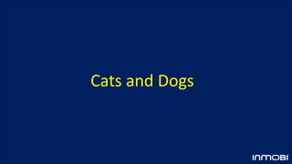 Cats and Dogs
 