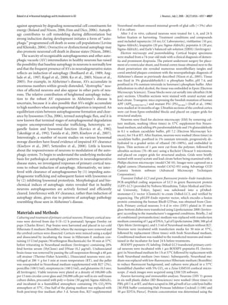 Boland et al. • Neuronal Autophagy and Its Involvement in AD                                                     J. Neurosci., July 2, 2008 • 28(27):6926 – 6937 • 6927


against apoptosis by degrading nonessential cell constituents for              Neurobasal medium ensured minimal growth of glial cells (Ͻ5%) after
energy (Boland and Nixon, 2006; Finn and Dice, 2006). Autoph-                  5 d in culture.
agy contributes to cell remodeling during differentiation but                     After 5 d in vitro, cultured neurons were treated for 1, 6, and 24 h
strong induction during development initiates a form of “auto-                 before fixation or harvesting. Treatment conditions and compounds
                                                                               used included rapamycin (10 nM; LC Laboratories), vinblastine (10 ␮M;
phagic” programmed cell death in some cell populations (Levine
                                                                               Sigma-Aldrich), leupeptin (20 ␮M; Sigma-Aldrich), pepstatin A (20 ␮M;
and Klionsky, 2004). Overactive or dysfunctional autophagy may                 Sigma-Aldrich), and Earle’s balanced salt solution (EBSS) (Invitrogen)
also promote neuronal cell death in disease states (Nixon, 2006).                 Electron microscopy and postembedding. Cortical biopsy specimens
    The scarcity of recognizable autophagosomes and other auto-                were studied from a 74-year-old male with a clinical diagnosis of demen-
phagic vacuole (AV) intermediates in healthy neurons has raised                tia and prominent dyspraxia. The patient underwent surgery for place-
the possibility that baseline autophagy in neurons is normally low             ment of a ventricular shunt, and frontal cortex tissue obtained next to the
and that the frequent presence of AVs in neurodegenerative states              shunt penetration site revealed numerous neurofibrillary tangles and
reflects an induction of autophagy (Boellaard et al., 1989; Ang-               cored amyloid plaques consistent with the neuropathologic diagnosis of
lade et al., 1997; Kegel et al., 2000; Ko et al., 2005; Nixon et al.,          Alzheimer’s disease as previously described (Nixon et al., 2005). Tissue
2005). For example, in Alzheimer’s disease, AVs accumulate in                  was fixed in 3% glutaraldehyde/0.1 M phosphate buffer, pH 7.4, and
enormous numbers within grossly distended, “dystrophic” neu-                   postfixed in 1% osmium tetroxide in Sorensen’s phosphate buffer. After
                                                                               dehydration in ethyl alcohol, the tissue was embedded in Epon (Electron
rites of affected neurons and also appear in other parts of neu-
                                                                               Microscopy Sciences). Tissue blocks were cut serially into ultrathin (0.06
rons. The relative contribution of heightened autophagy induc-                 ␮m) sections. Ultrathin sections were stained with uranyl acetate and
tion to the robust AV expansion in Alzheimer’s disease is                      lead citrate. Transgenic mice expressing the Swedish mutation of human
uncertain, because it is also possible that AVs might accumulate               APP (APPK670M/N671L) and mutant PS1 (PS1M146L) (Duff et al., 1996)
to high numbers when autophagosomal digestion is impaired. An                  were studied at 16 months of age. Ultrathin sections of the cerebral cortex
equilibrium exists between autophagosome formation and clear-                  were cut from Epon-embedded blocks and placed on copper grids for
ance by lysosomes (Chu, 2006), termed autophagic flux, and it is               structural analysis.
now known that terminal stages of autophagosomal degradation                      Neurons were fixed for electron microscopy (EM) by removing cul-
require uncompromised vesicular trafficking, heterotypic or-                   ture medium, washing (three times) in 37°C supplement-free Neuro-
ganelle fusion and lysosomal function (Kovacs et al., 1982;
                                                   ´                           basal medium, and adding 4% paraformaldehyde and 1% glutaraldehyde
                                                                               in 0.1 M sodium cacodylate buffer, pH 7.2 (Electron Microscopy Sci-
Takeshige et al., 1992; Tanida et al., 2005; Kiselyov et al., 2007).
                                                                               ences), for 3 h at RT. After fixation, neurons were washed (three times) in
Interestingly, a number of recent studies on various lysosomal                 cacodylate buffer, postfixed in 1% osmium tetroxide, progressively de-
storage disorders have found evidence of impaired AV clearance                 hydrated in a graded series of ethanol (50 –100%), and embedded in
(Kiselyov et al., 2007; Settembre et al., 2008). Little is known               Epon. Thin sections of 1 ␮m were cut from the polymer, followed by
about the responsiveness of neurons to modulation of the auto-                 ultrathin sections (70 – 80 nm) using a Recheirt Ultracut S microtome,
phagic system. To begin to understand the underlying molecular                 and placed on copper grids for structural analysis. Grids were briefly
basis for pathological autophagic patterns in neurodegenerative                stained with uranyl acetate and lead citrate before being examined with a
disease states, we investigated responses of primary cortical neu-             Philips electron microscope (model CM 10). Images were captured on a
rons to robust induction of autophagy. Alternatively, we inter-                digital camera (Hamamatsu; model C4742-95) using Advantage CCD
fered with clearance of autophagosomes by (1) impeding auto-                   Camera System software (Advanced Microscopy Techniques
                                                                               Corporation).
phagosome trafficking and subsequent fusion with lysosomes or
                                                                                  Transient DsRed–LC3 and green fluorescent protein–Endo transfection.
by (2) inhibiting lysosomal proteolysis. Morphological and bio-                PCR-amplified coding sequences of LC3 in green fluorescent protein
chemical indices of autophagic states revealed that in healthy                 (GFP)-LC3 (provided by Noboru Mizushima, Tokyo Medical and Den-
neurons autophagosomes are actively formed and efficiently                     tal University, Tokyo, Japan) was subcloned into a pDsRed-
cleared. Interference with AV clearance, rather than induction of              monomer-C1 vector (Clontech) to create DsRed-LC3, and verified by
autophagy alone, gives rise to patterns of autophagy pathology                 sequencing. The pEGFP-Endo reporter vector, which encodes a fusion
resembling those seen in Alzheimer’s disease.                                  protein containing the human RhoB GTPase, was obtained from Clon-
                                                                               tech. Primary cortical neurons 3– 4 d in vitro (DIV) plated in 35 mm
                                                                               glass-bottom dishes were transfected using Lipofectamine 2000 (Invitro-
Materials and Methods                                                          gen) according to the manufacturer’s suggested conditions. Briefly, 2 ml
Culturing and treatment of primary cortical neurons. Primary cortical neu-     of conditioned (pretransfection) medium was replaced with transfection
rons were derived from day 0 (0 –12 h postnatal) Sprague Dawley rat            medium consisting of 1 ␮g of DNA, 5 ␮l of Lipofectamine 2000, 500 ␮l of
pups (Charles River). Pup brains were harvested and placed in ice-cold         Opti-Mem (Invitrogen), and 1.5 ml of Neurobasal medium without B27.
Hibernate-E medium (BrainBits) where the meninges were removed and             Neurons were incubated with transfection media for 30 min at 37°C,
the cerebral cortices were dissected. Cortices were minced using a scalpel     followed by replacement (three times) with fresh Neurobasal medium.
and dissociated by incubating the tissue in Hibernate-E medium con-            Conditioned medium was readded to the transfected neurons and main-
taining 15 U/ml papain (Worthington Biochemicals) for 30 min at 37°C           tained in the incubator for least 24 h before treatments.
before triturating in Neurobasal medium (Invitrogen) containing 20%               BODIPY-pepstatin-FL labeling. DsRed-LC3 transfected primary corti-
fetal bovine serum (HyClone) and DNase (0.2 ␮g/ml). Undissociated              cal neurons were incubated with 1 ␮M BODIPY-pepstatin-FL (Invitro-
brain tissue was removed by passing the cell suspension through a 40 ␮m        gen) in Neurobasal medium for 1 h at 37°C followed by replacement with
cell strainer (Thermo Fisher Scientific). Dissociated neurons were cen-        fresh Neurobasal medium (two times). Subsequently, Neurobasal me-
trifuged at 200 ϫ g for 3 min at room temperature (RT), and the pellet         dium was replaced with low-fluorescence Hibernate medium (BrainBits)
was resuspended in Neurobasal medium supplemented with B27 (2%),               to reduce fluorescent background, and cultures were placed in a 37°C
penicillin (100 U/ml), streptomycin (100 U/ml), and glutamine (0.5 mM;         humidified chamber with 5% CO2 on a Zeiss LSM510 confocal micro-
all Invitrogen). Viable neurons were plated at a density of 100,000 cells      scope. Z-stack images were acquired using LSM 520 software.
per 13 mm circular cover glass and 250,000 cells per well in six-well tissue      Neuron harvesting and immunoblot analyses. Neurons (DIV 5) grown
culture dishes, precoated with poly-D-lysine (50 ␮g/ml; Sigma-Aldrich),        in six-well plastic dishes (BD Biosciences) were washed (three times) in
and incubated in a humidified atmosphere containing 5% CO2/95%                 PBS, pH 7.4, at RT, and then scraped in 200 ␮l/well of ice-cold lysis buffer
atmosphere at 37°C. One-half of the plating medium was replaced with           [M-PER buffer containing Halt Protease Inhibitor Cocktail (1:100) and
fresh pen/strep-free medium after 3 d. Serum-free, B27-supplemented            50 ␮M EDTA; Pierce]. Protein concentration was determined using the
 