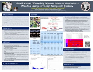 Identification of Differentially Expressed Genes for Mummy Berry 
(Monilinia vaccinii‐corymbosi) Resistance in Blueberry
Ashley Yow1, Kathleen Burchhardt2 , Marc Cubeta2,	Hamid Ashrafi1
1North Carolina State University, Department of Horticulture
2North Carolina State University, Department of Entomology and Plant Pathology
BACKGROUND
• Molecular data for blueberries is severely lacking.
• Economic loss due to mummy berry has been repeatedly documented across N. 
America. 
• Molecular data is needed to truly understand the genetic mechanisms behind 
pathogen resistance.
• Next‐generation sequencing can generate large amounts of genomic data within a 
few weeks.
• RNA‐seq is a powerful tool for measuring differential gene expression.
• In this study, we used a susceptible cultivar, ‘Arlen’, for RNA‐seq analysis.
OBJECTIVES
• To develop transcriptome sequences of a blueberry cultivar (Arlen) from total RNA 
extracted from leaves, roots, and different developmental stages of flowers and 
fruit.
• Mapping cv. ‘Arlen’ transcriptome reads to the ‘W85‐20’ reference genome is a good 
indication of up‐ and down‐regulated genes.
• To develop transcriptome sequences of a blueberry cultivar (Arlen) for mature 
fruit both infected and uninfected with mummy berry.
• To make a transcriptome assembly of cv. ‘Arlen’ from Illumina short reads.
• To make a genome assembly of M. vaccinii‐corymbosi from Roche 454 reads.
• To identify candidate genes related to mummy berry resistance and genes related 
to the infection process.
METHODS
• Samples were freeze dried in the field and transferred to ‐80⁰C freezer on dry ice.
• RNA was extracted from leaves, flowers, and fruits.
• cDNA libraries were created using the KAPA mRNA‐Seq kit for Illumina platforms.
• 200‐300bp desired insert size
• Libraries were run using the Illumina Miseq
• 150bp read length, single‐end
• 454 read sequences for M. vaccinii‐corymbosi were obtained from Dr. Marc 
Cubeta. 
• CLC Genomics v. 9.0.1 was used for trimming reads, de Novo assembly, RNA‐seq
mapping, and expression analysis.
• Arlen sequences were mapped to both the ‘W85‐20’ blueberry reference genome and an 
assembled genome for an NC isolate of M. vaccinii‐corymbosi
• For de novo assembly of cv. ‘Arlen‘ we used a word size of 31, bubble size of 150, and 
minimum contig length of 300bp
• For de novo assembly of M. vaccinii‐corymbosi we used a word size of 19, bubble size of 
334, and minimum contig length of 200bp
• BLASTx v. 2.4.0+ was used in Linux terminal for blasting contigs to the full NCBI 
non‐redundant protein database.
RESULTS
• We were able to assemble 49,803 contigs from our cv. ‘Arlen’ transcriptome reads 
after filtering out reads associated with the M. vaccinii‐corymbosi fungus.
• The contig N50 for this assembly was 1,084 bp long and our largest contig was 15,731 bp
long.
• As expected, we had a higher percentage of transcriptome reads from our 
infected mature fruits that mapped to the M. vaccinii‐corymbosi genome 
assembly due to the presence of the pathogen in the fruit.
• 38.97% for mummy fruit rep 1 and 41.08% for mummy fruit rep 2.
• These two tissues also had the lowest percentage of reads map to the ‘W85‐20’ diploid 
blueberry reference genome.
• The Principal Component Analysis showed that our mummy infected fruits were 
clustered together and uninfected tissues were clustered together based on RPKM 
of scaffolds in the ‘W85‐20’ blueberry genome.
• Scaffolds in the ‘W85‐20’ blueberry genome with a high fold‐difference between 
our infected and non‐infected tissue groups are of interest because they may 
contain genes that play a role in mummy berry infection.
• Scaffold 66203; Scaffold 35130; Scaffold 88151; Scaffold 35999
CONCLUSIONS
• Some of the cv. ‘Arlen’ transcriptome reads did not map to either the M. vaccinii‐
corymbosi genome or the ‘W85‐20’ diploid blueberry reference genome. 
• The reason for this could be due to differences between cv. ‘Arlen’ and the ‘W85‐20’ 
accession, or it could be due to an incomplete blueberry reference genome.
• Annotation on our ‘W85‐20’ diploid blueberry reference genome will be needed in 
order to identify genes related to mummy berry infection. Currently, the genome 
is in the form of scaffolds, which could contain multiple genes.
• In the future, we will also include more cultivars on the extreme ends of the 
spectrum of resistance.
• In particular we are interested in performing analyses on cv. ‘Blue Gold’, which is known to 
be highly susceptible to mummy berry.
Arlen Transcriptome Reads Mapping Stats
CV. Arlen Location
Number of 
Reads
Reads Mapped 
to W85‐20
% of Reads 
Mapped
Reads Mapped 
to M. vaccinii‐
corymbosi
% of Reads
Mapped
Fruit Stage 1 Castle Hayne 1,257,005 767,816 61.08 7,283 0.58
Fruit Stage 2 Castle Hayne 1,271,969 789,008 62.03 3,084 0.24
Fruit Stage 3 Castle Hayne 1,487,476 855,195 57.49 6,573 0.44
Fruit Stage 4 Castle Hayne 1,206,255 731,511 60.64 3,164 0.26
Fruit Stage 4 
Rep 2
Castle Hayne 987,653 584,972 59.23 2,492 0.25
Mummy Fruit 
Stage 4
Castle Hayne 1,150,852 169,709 14.75 448,469 38.97
Mummy Fruit 
Stage 4 Rep 2
Castle Hayne 982,291 156,014 15.88 403,572 41.08
Fruit Stage 3 Sandhills 1,121,100 617,924 55.12 7,897 0.70
Fruit Stage 3 
Rep 2
Sandhills 1,139,034 681,415 59.82 4,895 0.43
Fruit Stage 4 Sandhills 1,104,765 680,120 61.56 3,267 0.30
Fruit Stage 4   
Rep 2
Sandhills 1,031,052 636,119 61.70 3,371 0.33
FL1 Castle Hayne 820,782 505,015 61.53 6,170 0.75
FL3 Castle Hayne 1,021,020 583,335 57.13 8,058 0.79
FL5 Castle Hayne 1,031,618 567,937 55.05 10,578 1.03
L Castle Hayne 893,901 502,060 56.17 5,898 0.66
R Castle Hayne 1,193,456 718,407 60.20 6,357 0.53
All Tissues ‐‐ 17,700,229 9,546,557 53.93 931,128 5.26
Table 2: Statistics for cv. ‘Arlen’ transcriptome reads mapping to the diploid blueberry ‘W85‐20’ reference genome as well as
M. vaccinii‐corymbosi genome assembly 
ACKNOWLEDGMENTS	
This research was partially supported by Southern Region Small Fruit Consortium Award No. 2016 R‐04 and North Carolina 
State University. 
The authors would like to thank Dr. Kathleen Burchhardt to collect and sequence one isolates of M. vaccinium corymbosi. 
The authors would like to acknowledge NCSU’s Genomic Sciences Lab for performing the sequencing using Illumina MiSeq.
The authors would like to thank Mr. Terry Bland for his help with tissue collection.
REFERENCES
CLC Genomics Workbench 9.0.1 (https://www.qiagenbioinformatics.com/)
American Phytopathological Society & Oregon State Univeristy
(http://www.apsnet.org/edcenter/intropp/lessons/fungi/ascomycetes/Pages/MummyBerry.aspx)
University of Georgia Plant Pathology , University of Georgia, Bugwood.org
Assembly Stats
Arlen 
Transcriptome
Assembly Contig
Measurements
M. vaccinii‐
corymbosi
Assembly Contig
Measurements
N50 1,084 bp 838 bp
Minimum 300 bp 200 bp
Maximum 15,731 bp 14,120 bp
Average 870 bp 754 bp
Count 49,803 contigs 18,988 contigs
Total 43,309,250 bp 14,320,408 bp
Table 1: Cv. ‘Arlen’ Transcriptome Assembly and M. 
vaccinii‐corymbosi Genome Assembly Summary 
Statistics
Figure 1: Tissues collected for RNA extraction
Figure 2: Workflow for performing RNA‐Seq analysis
Figure 3: Visualization of mummy berry infection in 
blueberry fruits
EDGE test for cv. ‘Arlen’ 
transcriptome reads mapped 
to blueberry genome
Principal Component Analysis 
for cv. ‘Arlen’ transcriptome 
reads mapped to blueberry 
genome
Figure 4: Hierarchical 
Clustering of Samples for cv. 
‘Arlen’ transcriptome reads 
mapped to ‘W85‐20’ blueberry 
reference genome
 