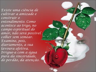 Existe uma ciência de
cultivar a amizade e
construir o
entendimento. Como
acontece ao trigo, no
campo espiritual do
amor, não será possível
colher sem semear.
Examine, pois,
diariamente, a sua
lavoura afetiva.
Irrigue-a com a água
pura da sinceridade,
do perdão, da atenção.
 