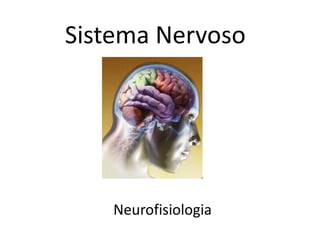 Sistema Nervoso
Neurofisiologia
 