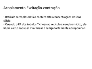 Acoplamento Excitação-contração
• Retículo sarcoplasmático contém altas concentrações de íons
cálcio.
• Quando o PA dos túbulos T chega ao retículo sarcoplasmático, ele
libera cálcio sobre as miofibrilas e se liga fortemente a troponinaC
 