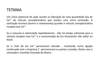 TETANIA
Um único potencial de ação resulta na liberação de uma quantidade fixa de
Ca2+ do retículo sarcoplasmático que produz uma única contração. A
contração termina (ocorre o relaxamento) quando o retículo sarcoplasmático
recapta esse Ca2+.
Se o músculo é estimulado repetidamente , não há tempo suficiente para o
retículo recaptar esse Ca2+ e a concentração do íon intracelular não voltar ao
basal.
Se o nível do íon Ca2+ permanecer elevado , resultando numa ligação
continuada com a tropinina C permanecerá as pontes cruzadas. Neste caso a
contração e mantida chamado de tétano .
 