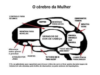 O cérebro da Mulher
 