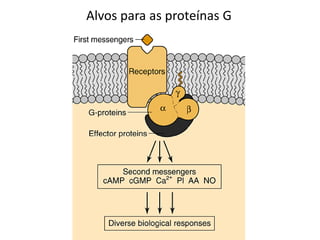 Alvos para as proteínas G
 
