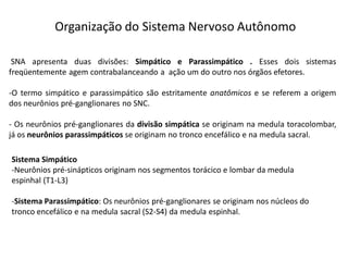 Organização do Sistema Nervoso Autônomo
SNA apresenta duas divisões: Simpático e Parassimpático . Esses dois sistemas
freqüentemente agem contrabalanceando a ação um do outro nos órgãos efetores.
-O termo simpático e parassimpático são estritamente anatômicos e se referem a origem
dos neurônios pré-ganglionares no SNC.
- Os neurônios pré-ganglionares da divisão simpática se originam na medula toracolombar,
já os neurônios parassimpáticos se originam no tronco encefálico e na medula sacral.
Sistema Simpático
-Neurônios pré-sinápticos originam nos segmentos torácico e lombar da medula
espinhal (T1-L3)
-Sistema Parassimpático: Os neurônios pré-ganglionares se originam nos núcleos do
tronco encefálico e na medula sacral (S2-S4) da medula espinhal.
 