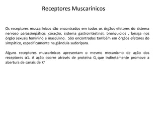 Receptores Muscarínicos
Os receptores muscarínicos são encontrados em todos os órgãos efetores do sistema
nervoso parassimpático: coração, sistema gastrointestinal, bronquíolos , bexiga nos
órgão sexuais feminino e masculino. São encontrados também em órgãos efetores do
simpático, especificamente na glândula sudorípara.
Alguns receptores muscarínicos apresentam o mesmo mecanismo de ação dos
receptores α1. A ação ocorre através de proteína Gi que indiretamente promove a
abertura de canais de K+
 