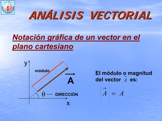 ANANÁÁLISIS VECTORIALLISIS VECTORIAL
Notación gráfica de un vector en el
plano cartesiano
El módulo o magnitud
del vector es:
x
DIRECCIÓN
A
θ
y
módulo
AA =
→
→
A
 