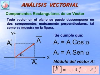 ANANÁÁLISIS VECTORIALLISIS VECTORIAL
Componentes Rectangulares de un Vector
Módulo del vector A:
[ ] 22
yx AAA +=
ρ
α
X
Y
A
Ax
Ay Ax = A Cos α
Ay = A Sen α
Todo vector en el plano se puede descomponer en
dos componentes mutuamente perpendiculares, tal
como se muestra en la figura.
Se cumple que:
 