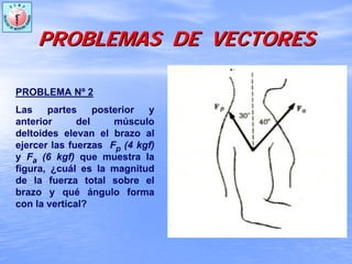 PROBLEMAS DE VECTORESPROBLEMAS DE VECTORES
PROBLEMA Nº 2
Las partes posterior y
anterior del músculo
deltoides elevan el brazo al
ejercer las fuerzas Fp (4 kgf)
y Fa (6 kgf) que muestra la
figura, ¿cuál es la magnitud
de la fuerza total sobre el
brazo y qué ángulo forma
con la vertical?
 