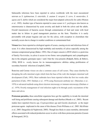 4
Salmonella infections have been reported in calves worldwide with the most encountered
serovars as S. typhimurium, S. enteritidis, S. anatum S. newport, S. cerro, S. montevideo, S.
agona and S. dublin which are considered the major host-adapted salmonella for cattle (Watson
et al., 1995). Another type of bacteria reported to cause scours is C. perfringens also known as
enterotoxemia is characterized by acute severity and death in both the calves and the adults.
Overall transmission of bacteria occurs through contamination of feed and water with fecal
matter due to failure in good management practices on the farm. Therefore it is easily
preventable with proper hygiene and care for the calves, with exception to clostridium that
normally occurs due to change in weather conditions or contaminated feed.
Viruses have been reported as etiological agents of scours, causing severe and infectious form of
scour. It is often characterized by high morbidity and mortality of calves especially among the
immune-compromised group (Baker, 1995). One of major concern is BVD which is a pestivirus
of family Flaviviridae, in calves it occurs in two forms: non-cytopathogenic and cytopathogenic
due to the antigenic genotypes types 1 and 2 that the virus presents (Ridpath, Bolin, & Dubovi,
1994). BVD is overly known for its immunosuppressive abilities aiding proliferation of
secondary bacterial infections (Campbell, 2004).
Rotavirus and Corona viruses are also a common cause of calf scours. They cause diarrhea by
disrupting the cells intestinal crypts which form the base of the wall, this hampers intestinal wall
development (Clark, 1993). Most outbreaks have been reported within the first two weeks after
parturition (Clark, 1993: Durham et al., 1979) using fluorescent antibody test (Marsolais et al.,
1978) or advanced methods using direct electron microscopy or immune-microscopy (Durham et
al., 1979). Overtly management of viral infection ought to be through yearly vaccinations of the
dams and calves.
Protozoan parasites, these unicellular organisms have got the capability to invade the intestinal
wall lining and proliferate causing subsequent damage and diarrhea (Mundt et al., 2005). Recent
studies have reported Eimeria spp, Cryptosporidium spp and Giardia duodenalis as the major
protozoan agents implicated in the cause of this disease (Trotz-Williams et al., 2005: McAllister
et al., 2005: Daugschies & Najdrowski, 2005). Though less likely to cause mortality, detrimental
effects associated with reduced production occur in calves with these protozoan parasites (Lassen
& Ostergaard, 2012).
 