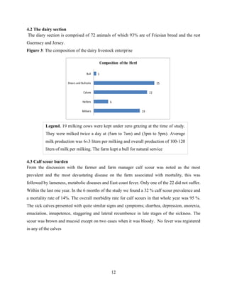 12
4.2 The dairy section
The diary section is comprised of 72 animals of which 93% are of Friesian breed and the rest
Guernsey and Jersey.
Figure 3: The composition of the dairy livestock enterprise
4.3 Calf scour burden
From the discussion with the farmer and farm manager calf scour was noted as the most
prevalent and the most devastating disease on the farm associated with mortality, this was
followed by lameness, metabolic diseases and East coast fever. Only one of the 22 did not suffer.
Within the last one year. In the 6 months of the study we found a 32 % calf scour prevalence and
a mortality rate of 14%. The overall morbidity rate for calf scours in that whole year was 95 %.
The sick calves presented with quite similar signs and symptoms; diarrhea, depression, anorexia,
emaciation, innapetence, staggering and lateral recumbence in late stages of the sickness. The
scour was brown and mucoid except on two cases when it was bloody. No fever was registered
in any of the calves
19
6
22
25
1
Milkers
Heifers
Calves
Steers and Bullocks
Bull
Composition of the Herd
Legend. 19 milking cows were kept under zero grazing at the time of study.
They were milked twice a day at (5am to 7am) and (3pm to 5pm). Average
milk production was 6±3 liters per milking and overall production of 100-120
liters of milk per milking. The farm kept a bull for natural service
 