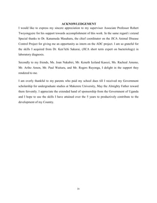 iv
ACKNOWLEDGEMENT
I would like to express my sincere appreciation to my supervisor Associate Professor Robert
Tweyongyere for his support towards accomplishment of this work. In the same regard i extend
Special thanks to Dr. Kanameda Masaharu, the chief coordinator on the JICA Animal Disease
Control Project for giving me an opportunity as intern on the ADC project. I am so grateful for
the skills I acquired from Dr. Ken’Ichi Sakurai, (JICA short term expert on bacteriology) in
laboratory diagnosis.
Secondly to my friends, Ms. Joan Nakabiri, Mr. Keneth Iceland Kasozi, Ms. Racheal Amono,
Mr. Ariho Amon, Mr. Paul Waituru, and Mr. Rogers Ruyonga, I delight in the support they
rendered to me.
I am overly thankful to my parents who paid my school dues till I received my Government
scholarship for undergraduate studies at Makerere University, May the Almighty Father reward
them fervently. I appreciate the extended hand of sponsorship from the Government of Uganda
and I hope to use the skills I have attained over the 5 years to productively contribute to the
development of my Country.
 