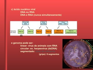 c) ácido nucléico viral
DNA ou RNA
DNA e RNA (nunca simultaneamente)
o genoma pode ser:
linear: vírus de animais com RNA
circular: ex. herpesvirus (dsDNA)
segmentado: vírus da influenza
(gripe): 8 segmentos
(!) (!)
 