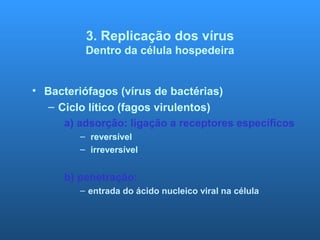 3. Replicação dos vírus
Dentro da célula hospedeira
• Bacteriófagos (vírus de bactérias)
– Ciclo lítico (fagos virulentos)
a) adsorção: ligação a receptores específicos
– reversível
– irreversível
b) penetração:
– entrada do ácido nucleico viral na célula
 