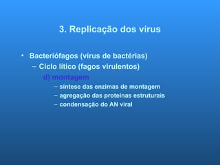 3. Replicação dos vírus
• Bacteriófagos (vírus de bactérias)
– Ciclo lítico (fagos virulentos)
d) montagem
– síntese das enzimas de montagem
– agregação das proteínas estruturais
– condensação do AN viral
 