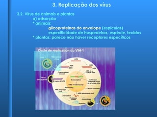 3. Replicação dos vírus
3.2. Vírus de animais e plantas
a) adsorção
* animais:
glicoproteínas do envelope (espículas)
especificidade de hospedeiros, espécie, tecidos
* plantas: parece não haver receptores específicos
 