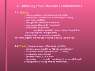 4.1. Viróides
- menores agentes infecciosos conhecidos
- compostos somente de RNA simples (circular)
- sem capa protéica
- sem genes codificando enzimas
- total dependência do hospedeiro
- localizados no núcleo:
interferência direta com a regulação gênica
- possível origem: riborganismos
-transmissão por sementes ou pólen
exemplo: agente da doença cadang-cadang (coqueiro)
4.2. Príons (proteinaceous infectious particles)
- somente proteínas (?) ou AN não detectado (?)
- localizam-se nas células do SNC (crônica)
- incubação longa (anos)
- alta resistência a UV e calor
- exemplos: kuru, scrapie (vaca louca) ou encefalopatia
espongiforme bovina), Mal de Alzheimer (?)
4. Outros agentes infecciosos semelhantes
 