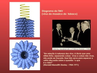 Diagrama do TMV
(vírus do mosaico do tabaco)
”Em relação à natureza dos vírus, é óbvio que uma
nítida linha, separando coisas vivas e coisas não vivas,
não pode ser traçada. Esse fato serve para aquecer a
velha discussão sobre a questão “o que
é a vida?”
(Wendell Meredith Stanley -1904-1971)
 