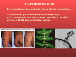 2. Características gerais
2.1. ampla distribuição: parasitando animais, plantas, microrganismos
- com diferentes graus de dependência para replicação:
p. ex. bacteriófagos: menos de 10 genes, dependência completa;
outros com 30-100 genes, mais independentes
 