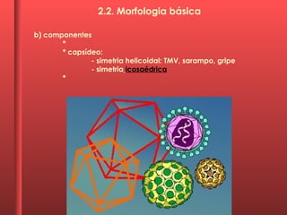 b) componentes
*
* capsídeo:
- simetria helicoidal: TMV, sarampo, gripe
- simetria icosaédrica
*
2.2. Morfologia básica
 