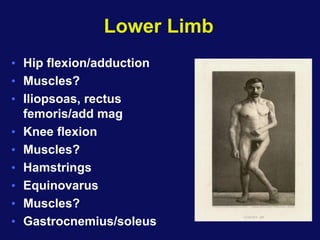 Lower Limb
• Hip flexion/adduction
• Muscles?
• Iliopsoas, rectus
femoris/add mag
• Knee flexion
• Muscles?
• Hamstrings
• Equinovarus
• Muscles?
• Gastrocnemius/soleus
 