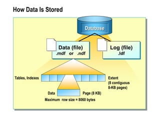 How Data Is Stored
Extent
(8 contiguous
8-KB pages)
Page (8 KB)
Tables, Indexes
Data
Database
Data (file)
.mdf or .ndf
Log (file)
.ldf
Maximum row size = 8060 bytes
 