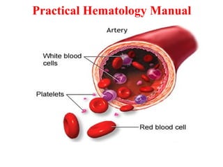 Practical Hematology Manual
 