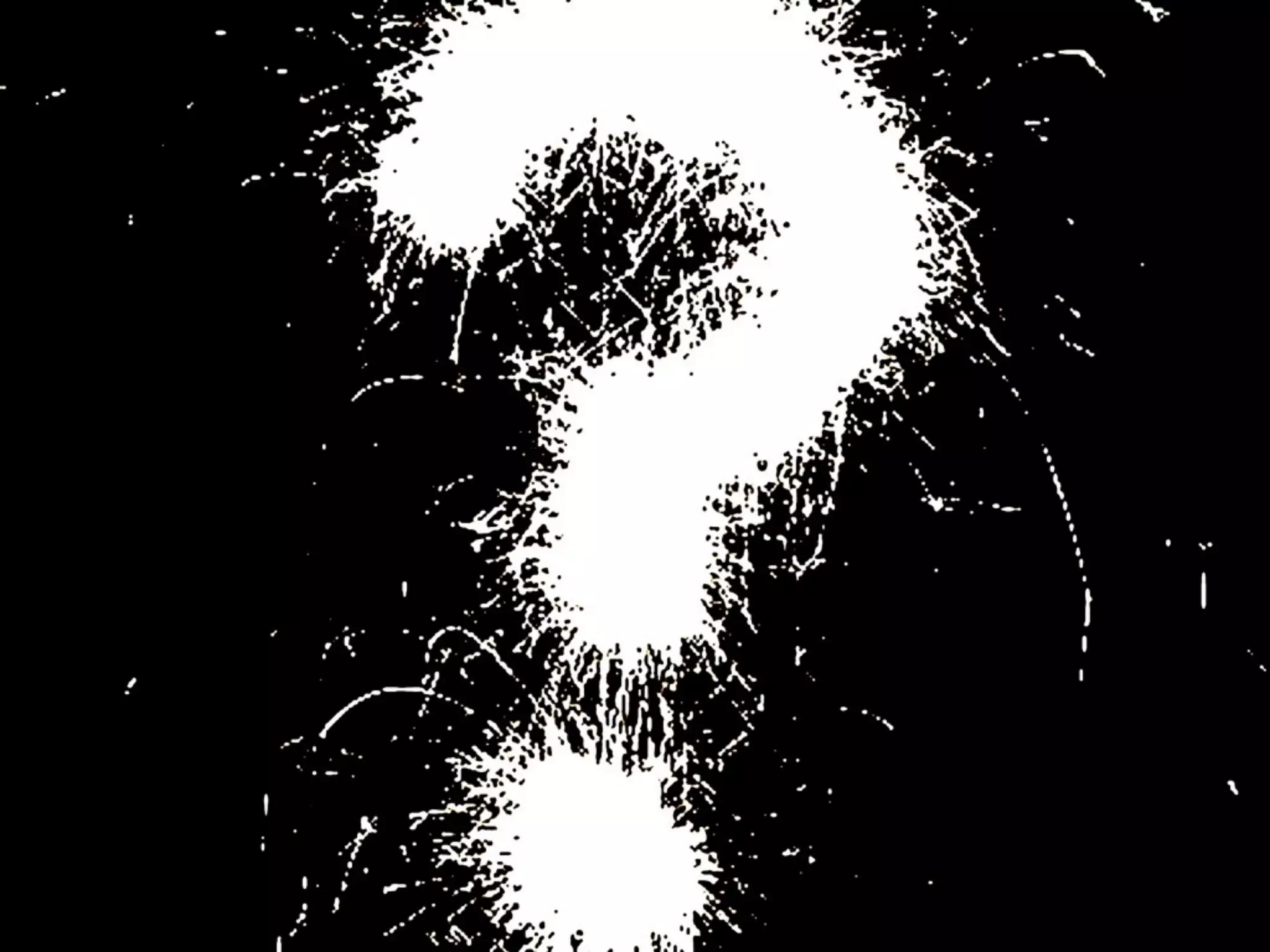 IAP09 CUDA@MIT 6.963 - Lecture 04: CUDA Advanced #1 (Nicolas Pinto, MIT)