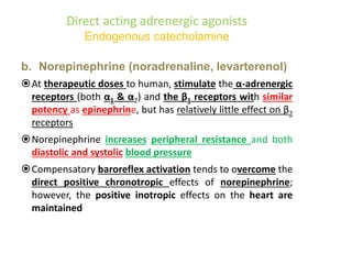 Direct acting adrenergic agonists
Endogenous catecholamine
b. Norepinephrine (noradrenaline, levarterenol)
At therapeutic doses to human, stimulate the α-adrenergic
receptors (both α1 & α2) and the β1 receptors with similar
potency as epinephrine, but has relatively little effect on β2
receptors
Norepinephrine increases peripheral resistance and both
diastolic and systolic blood pressure
Compensatory baroreflex activation tends to overcome the
direct positive chronotropic effects of norepinephrine;
however, the positive inotropic effects on the heart are
maintained
 