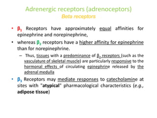 Adrenergic receptors (adrenoceptors)
Beta receptors
• β1 Receptors have approximately equal affinities for
epinephrine and norepinephrine,
• whereas β2 receptors have a higher affinity for epinephrine
than for norepinephrine.
– Thus, tissues with a predominance of β2 receptors (such as the
vasculature of skeletal muscle) are particularly responsive to the
hormonal effects of circulating epinephrine released by the
adrenal medulla
• β3 Receptors may mediate responses to catecholamine at
sites with "atypical" pharmacological characteristics (e.g.,
adipose tissue)
 