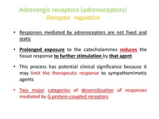 Adrenergic receptors (adrenoceptors)
Receptor regulation
• Responses mediated by adrenoceptors are not fixed and
static
• Prolonged exposure to the catecholamines reduces the
tissue response to further stimulation by that agent
• This process has potential clinical significance because it
may limit the therapeutic response to sympathomimetic
agents
• Two major categories of desensitization of responses
mediated by G protein-coupled receptors
 