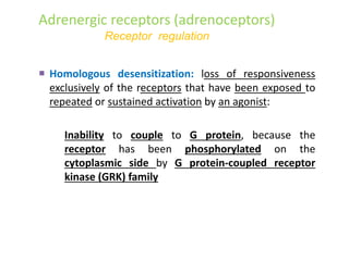 Adrenergic receptors (adrenoceptors)
Receptor regulation
 Homologous desensitization: loss of responsiveness
exclusively of the receptors that have been exposed to
repeated or sustained activation by an agonist:
Inability to couple to G protein, because the
receptor has been phosphorylated on the
cytoplasmic side by G protein-coupled receptor
kinase (GRK) family
 