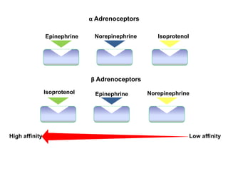 Epinephrine Norepinephrine Isoprotenol
Isoprotenol Epinephrine Norepinephrine
Low affinityHigh affinity
α Adrenoceptors
β Adrenoceptors
 