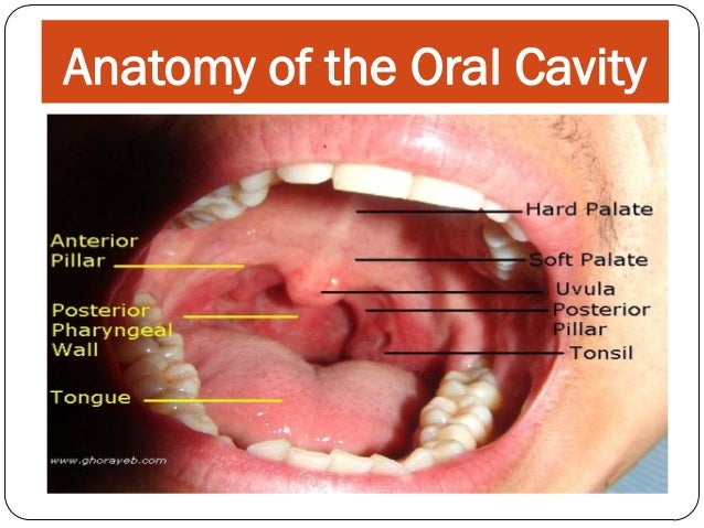 Mouth care Care Session for HSCW