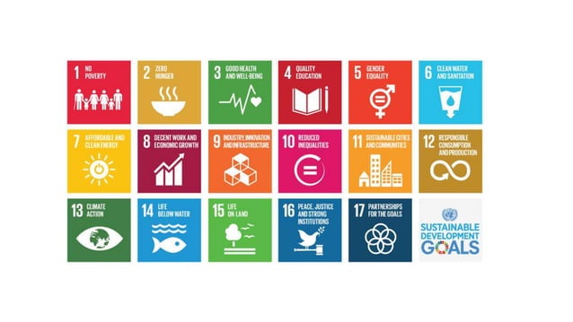 SUSTAINABLE DEVELOPMENT GOALS