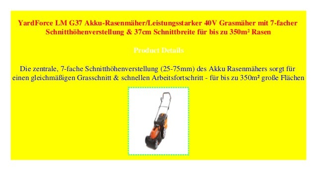 6200 2RS 6206 2RS SERIE HOCHLEISTUNG LAGER Chrom oder Rostfrei