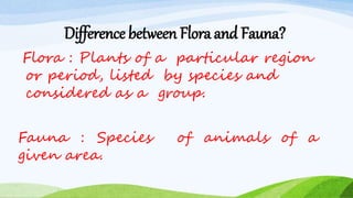 Difference between Flora and Fauna?
Flora : Plants of a particular region
or period, listed by species and
considered as a group.
Fauna : Species of animals of a
given area.
 