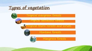 Types of vegetation
Tropical evergreen forests
Tropical deciduous forests
Tropical thorn forests and scrubs.
Montane forests.
Mangrove forests
 