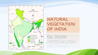 NATURAL
VEGETATION
OF INDIA
 