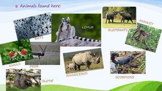 Animals found here:
DEER
SCORPIONS
LEMUR
ELEPtfANTS
SLOTtf
 