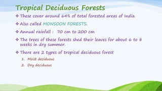 Tropical Deciduous Forests
 These cover around 64% of total forested areas of India.
 Also called MONSOON FORESTS.
 Annual rainfall : 70 cm to 200 cm
 The trees of these forests shed their leaves for about 6 to 8
weeks in dry summer.
 There are 2 types of tropical deciduous forest
1. Moist deciduous
2. Dry deciduous
 