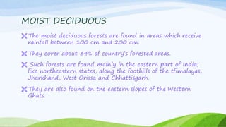 MOIST DECIDUOUS
 The moist deciduous forests are found in areas which receive
rainfall between 100 cm and 200 cm.
 They cover about 34% of country’s forested areas.
 Such forests are found mainly in the eastern part of India;
like northeastern states, along the foothills of the tfimalayas,
Jharkhand, West Orissa and Chhattisgarh.
 They are also found on the eastern slopes of the Western
Ghats.
 