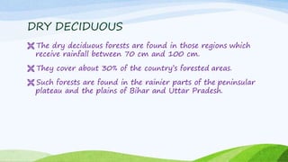 DRY DECIDUOUS
 The dry deciduous forests are found in those regions which
receive rainfall between 70 cm and 100 cm.
 They cover about 30% of the country’s forested areas.
 Such forests are found in the rainier parts of the peninsular
plateau and the plains of Bihar and Uttar Pradesh.
 