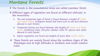Montane Forests
 The forests in the mountainous areas are called montane forest.
 Different types of vegetation are found at different altitudes in
the mountains.
1. The wet temperate type of forest is found between a height of 1000
and 2000 metre. Evergreen broad-leaf trees such as oak and chestnut
abound in such forests.
2. Temperate forests are found between the heights of 1500 and 3000
metre. Coniferous trees; like pine, deodar, silver fir, spruce and cedar
abound in such forests.
3. Alpine vegetation are found are heights of more than 3600 metre.
 These forests are mainly found along the southern slopes of the
tfimalayas and at high altitudes in southern and north-eastern
India.
 