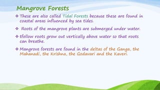 Mangrove Forests
 These are also called Tidal Forests because these are found in
coastal areas influenced by sea tides.
 Roots of the mangrove plants are submerged under water.
 tfollow roots grow out vertically above water so that roots
can breathe.
 Mangrove forests are found in the deltas of the Ganga, the
Mahanadi, the Krishna, the Godavari and the Kaveri.
 